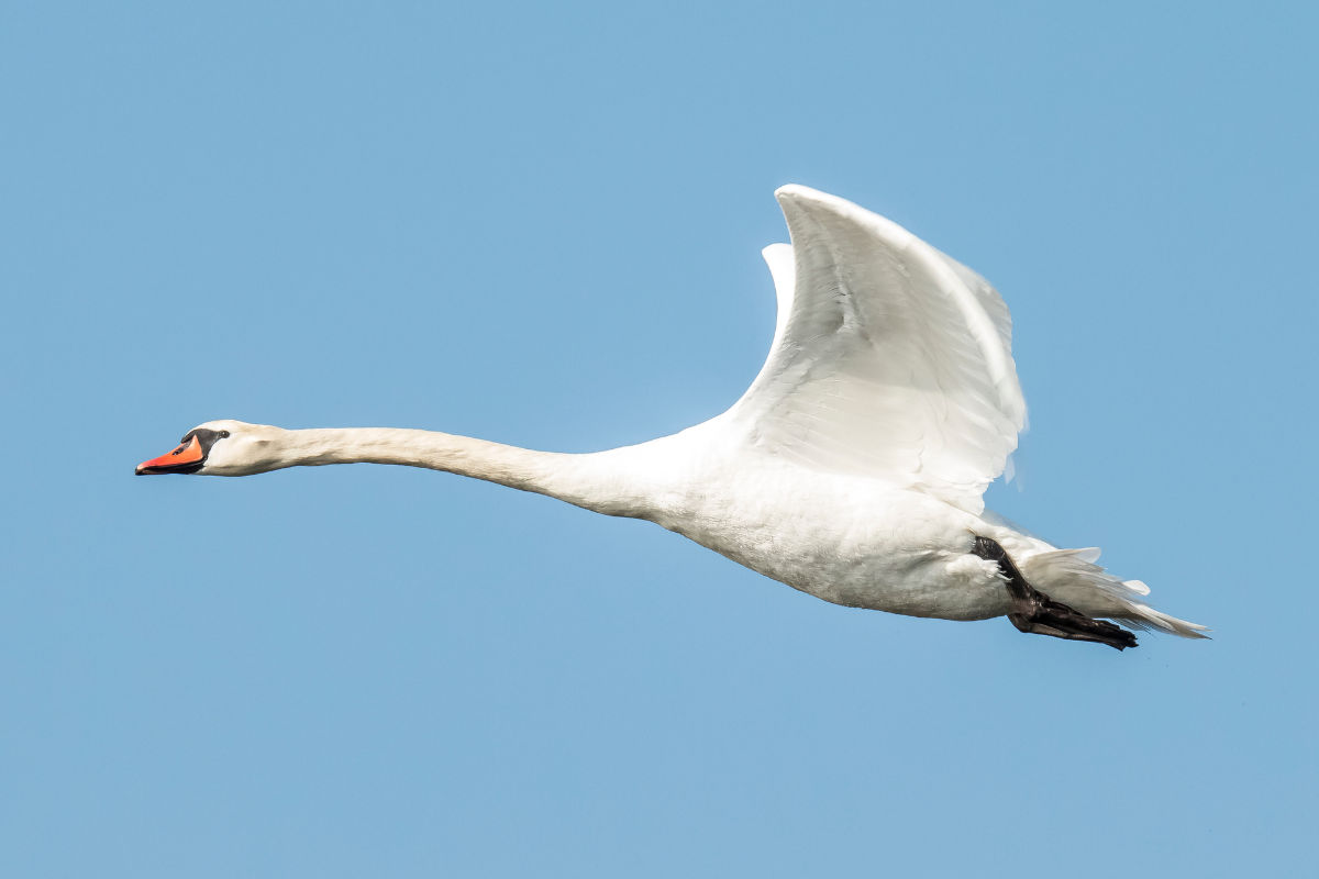 Image for challenge: July Challenge 2025