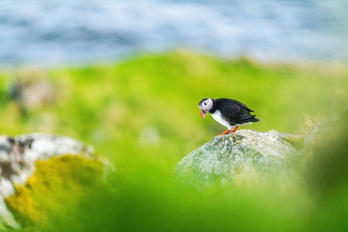 Image for challenge: Wilder Photo Challenge 2025