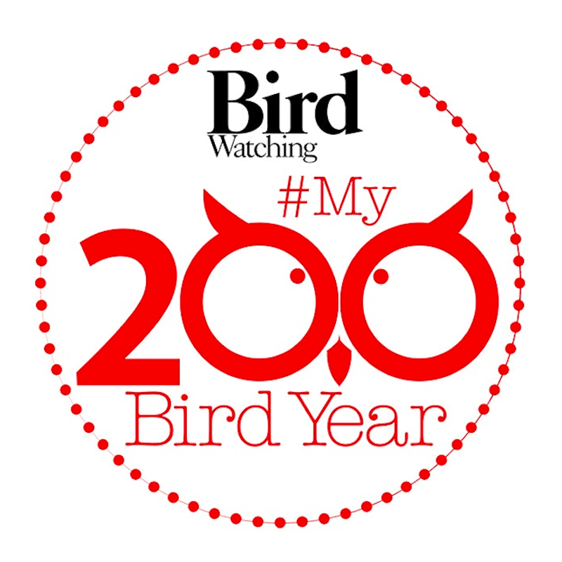 birdwatching-challenges-my200birdyear-challenge-2024